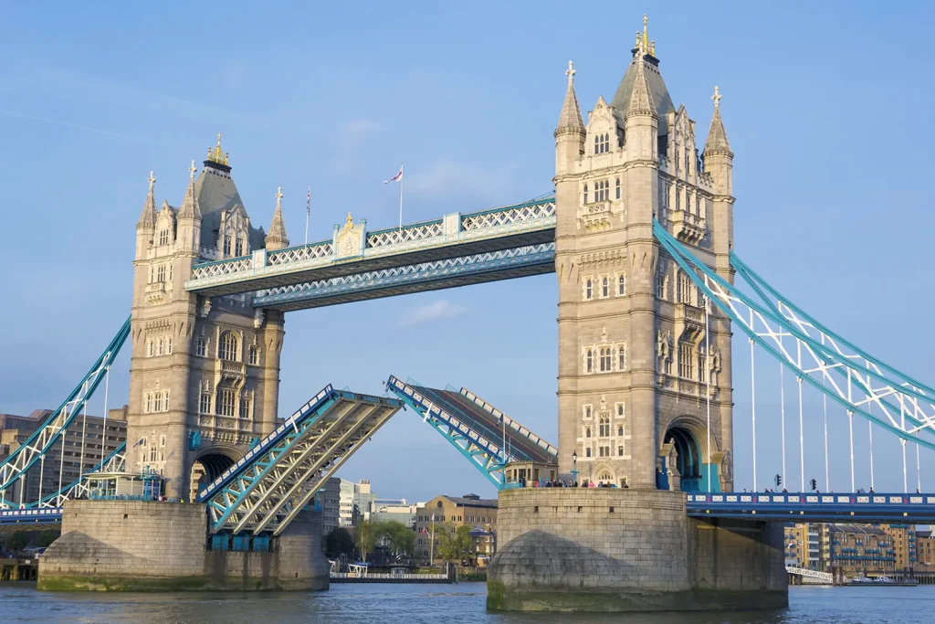 Image_MS Overseas Consultant