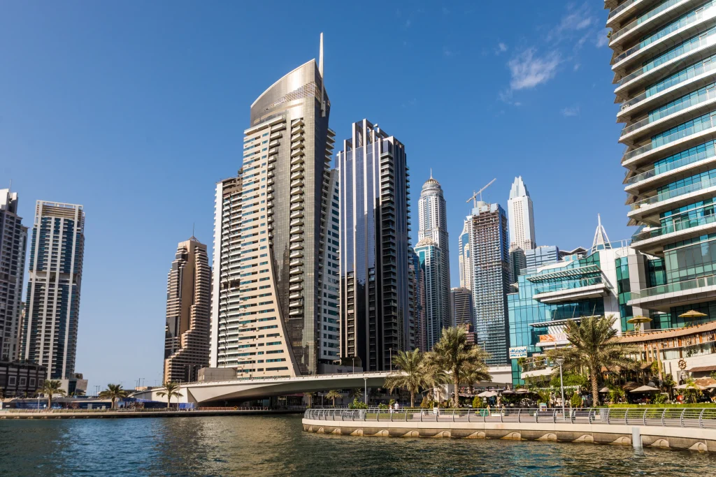 Image_MS Overseas Consultant